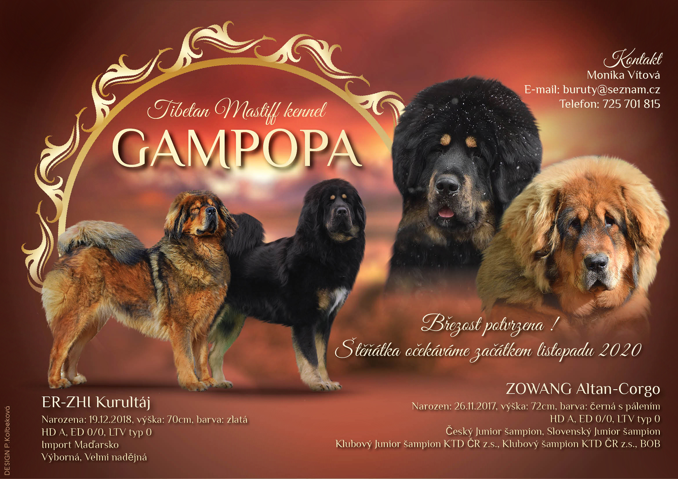 GAMPOPA